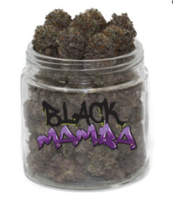 Black Mamba